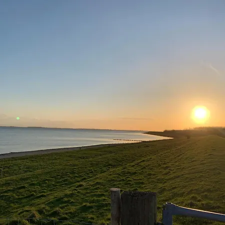 Charmante Woning Omheinde Tuin, Dichtbij Strandje Vp023 Feriehus Herkingen