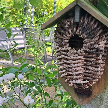 Charmante Woning Omheinde Tuin, Dichtbij Strandje Vp023
