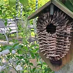 Charmante Woning Omheinde Tuin, Dichtbij Strandje Vp023