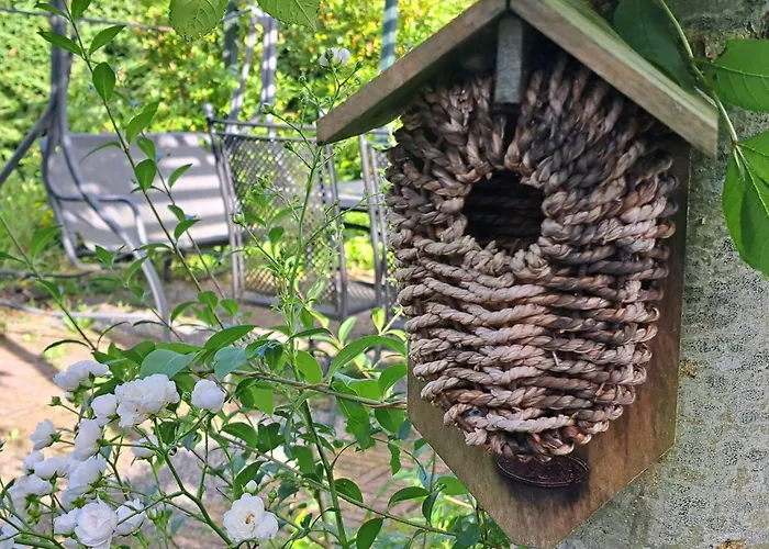 Charmante Woning Omheinde Tuin, Dichtbij Strandje Vp023